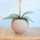 Ver imagem 3 de Arranjo de Orquídea Rosa Artificial no Vaso de Vidro Fendi Fosco | Linha permanente Formosinha