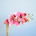 Ver imagem 4 de Arranjo de Orquídea Rosa Artificial no Vaso de Vidro Fendi Fosco | Linha permanente Formosinha