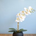 Ver imagem 4 de Arranjo de Flor Artificial Orquídea Branca no Vaso Médio Preto Fosco | Linha Permanente