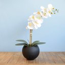 Ver imagem 1 de Arranjo de Flor Artificial Orquídea Branca no Vaso Médio Preto Fosco | Linha Permanente