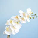 Ver imagem 2 de Arranjo de Flor Artificial Orquídea Branca no Vaso Médio Preto Fosco | Linha Permanente