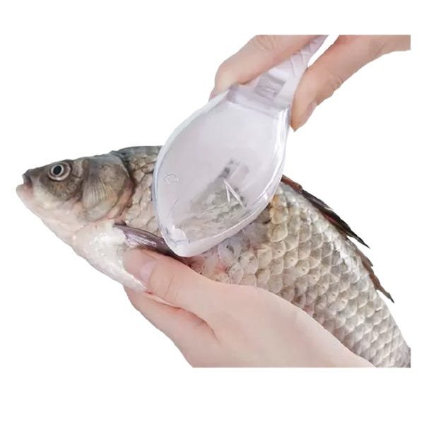 Escamador Escamas Do Peixe Acessório Para Cozinha