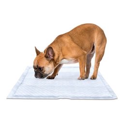Tapete Higienico para Pet Ultra Absorvente Mimo Pads 60x55cm 30 Unid Branco Pp019 - 3