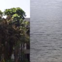 Ver imagem 1 de Adesivo para Vidro Box Banheiro Jateado Escovado 1,22M Prova D'Água - 1,22 x 1,00M
