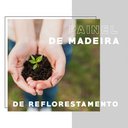 Ver imagem 6 de Carrinho Bar Chá/café Design Versátil Linha Connect Madeira