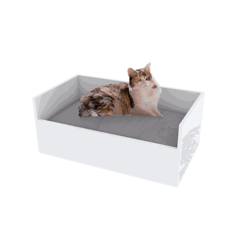 CAIXA PET M149.2021.B (GATO CACHORRO, CAMA, PET EM GERAL) MUNDI MOVEIS