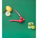 Ver imagem 3 de Espremedor de Limão Verde - Oikos