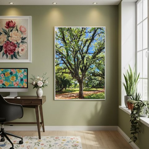 Quadro Decorativo Árvore no Parque 70x50cm Mold Branca