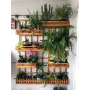 Ver imagem 2 de Jardim Vertical - Floreira Jv12