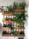 Ver imagem 2 de Jardim Vertical - Floreira Jv12