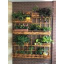 Ver imagem 3 de Jardim Vertical - Floreira Jv12