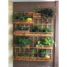 Jardim Vertical - Floreira Jv12 - 3