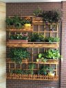 Ver imagem 3 de Jardim Vertical - Floreira Jv12
