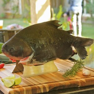 Suporte para Assar Peixe - Aço Inox Escovado