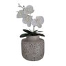 Arranjo Redondo Com Orquídea Decorativo Para Sala e Jardim - 1