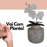 Arranjo Redondo Com Orquídea Decorativo Para Sala e Jardim - 5