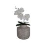 Arranjo Redondo Com Orquídea Decorativo Para Sala e Jardim - 2