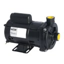 Ver imagem 1 de Bomba Centrífuga 1/2CV Dancor CP-4C motor WEG bivolt