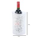 Ver imagem 3 de Cooler para Garrafa Plastico e Gel Incolor 15x15x22cm