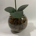 Ver imagem 3 de Arranjo de Orquidea Branca Artificial Silicone Ollirg Decor