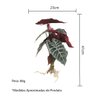 Planta Tinhorão Caladium Verde 41cm - 3