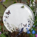 Ver imagem 2 de Conjunto com 6 Pratos Raso Bio Encanto