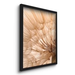 Quadro Decorativo Dente de Leão Zoom Plantas 45x33 C/vidro - 2