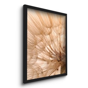 Quadro Decorativo Dente de Leão Zoom Plantas 45x33 C/vidro