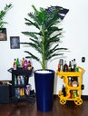 Ver imagem 3 de Palmeira Decoração Realista + Vaso Decorativo