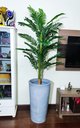 Ver imagem 6 de Palmeira Decoração Realista + Vaso Decorativo