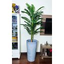 Ver imagem 6 de Palmeira Decoração Realista + Vaso Decorativo