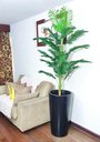 Ver imagem 7 de Palmeira Decoração Realista + Vaso Decorativo