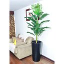 Ver imagem 7 de Palmeira Decoração Realista + Vaso Decorativo