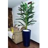 Palmeira Decoração Realista + Vaso Decorativo - 2