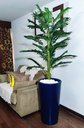 Ver imagem 2 de Palmeira Decoração Realista + Vaso Decorativo