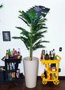 Ver mais imagens de Palmeira Decoração Realista + Vaso Decorativo