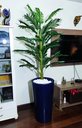 Ver imagem 4 de Palmeira Decoração Realista + Vaso Decorativo