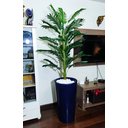 Ver imagem 4 de Palmeira Decoração Realista + Vaso Decorativo