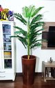 Ver imagem 5 de Palmeira Decoração Realista + Vaso Decorativo
