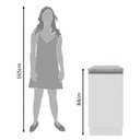 Ver imagem 7 de Balcão Glamy 40cm 1 Porta Branco Madesa