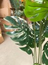 Ver imagem 6 de Planta Artificial Costela de Adão Toque Real com 1.20m, Planta Decorativa para Casa.