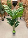 Ver imagem 2 de Planta Artificial Costela de Adão Toque Real com 1.20m, Planta Decorativa para Casa.
