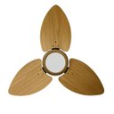 Ver imagem 4 de Ventilador de Teto Natuvent Dahlia LED 3 Pás Madeira Teca 3000k Branco Quente, Luz Amarela 127V