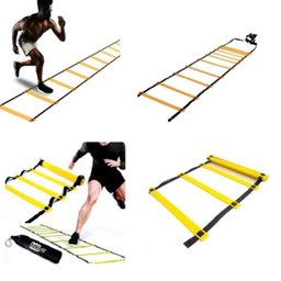 ESCADA DE AGILIDADE TREINO CORRIDA FUNCIONAL DE CHÃO CIRCUITO 6 METROS 12 ESTAÇOES DEGRAUS - 1