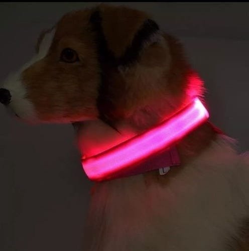 Coleira Colar Cão Gato Cachorro Pet Luz Led com Bateria Recarregável - Rosa - 1
