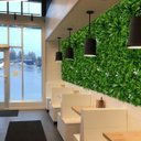 Ver imagem 1 de Painel Jardim Vertical Luxo Placa 4m² Verde Realista com Proteção Uv Áreas Externas e Internas