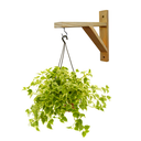 Ver imagem 2 de Kit de Suporte para Vaso Pendente Parede