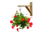 Ver imagem 1 de Kit de Suporte para Vaso Pendente Parede