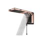 Chuveiro Lorenzetti Acqua Duo 7800w Preto com Rose Gold - 220 Volts - 2
