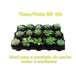 POTES NP06 ATACADO CACTOS E SUCULENTAS PRETO 90 ML 350 UND - 4